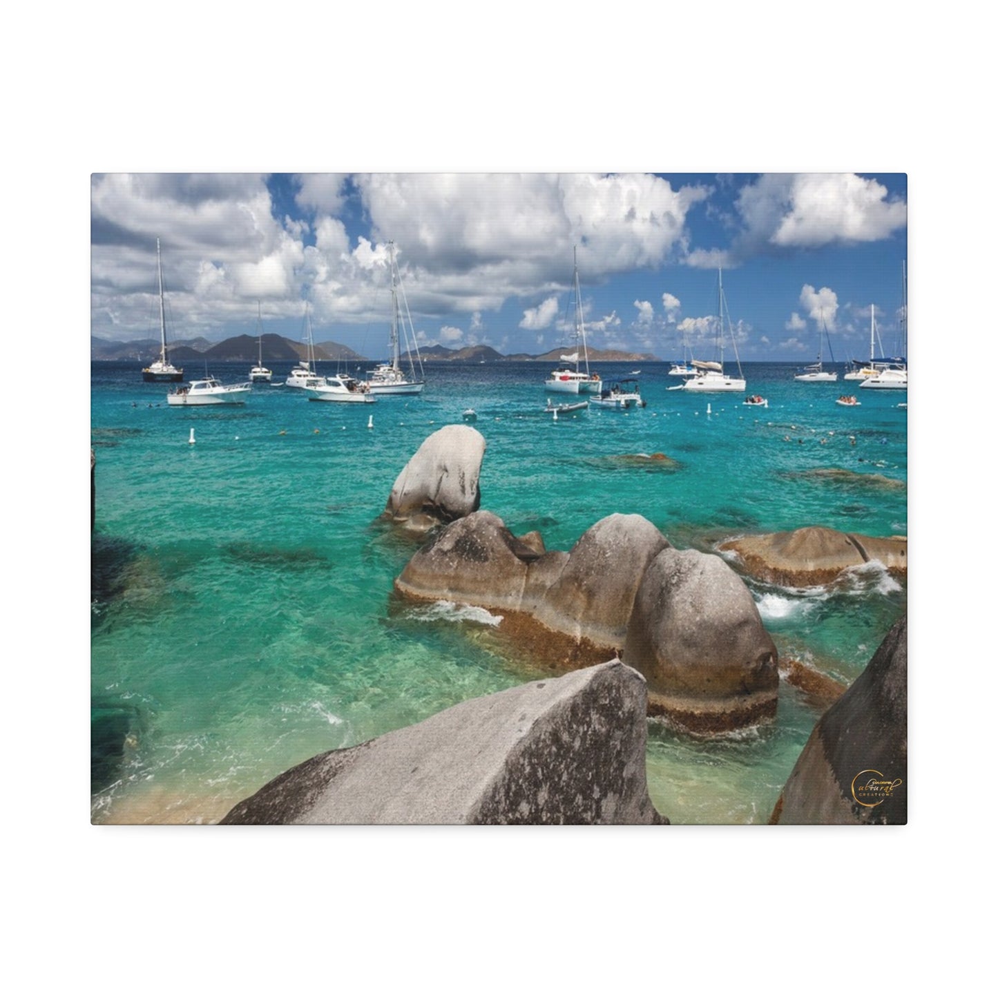 Beauty in the Harbor, USVI