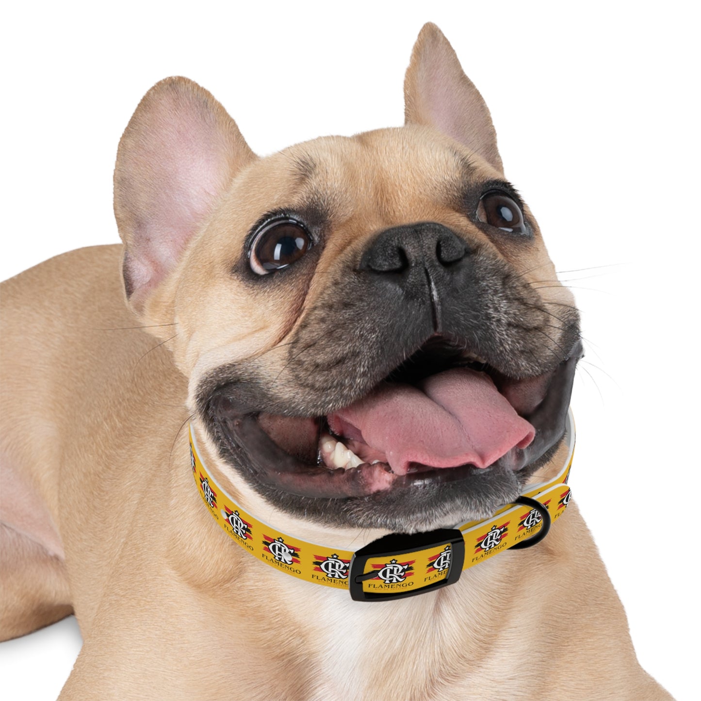 Brazilian Soccer Dog Collar