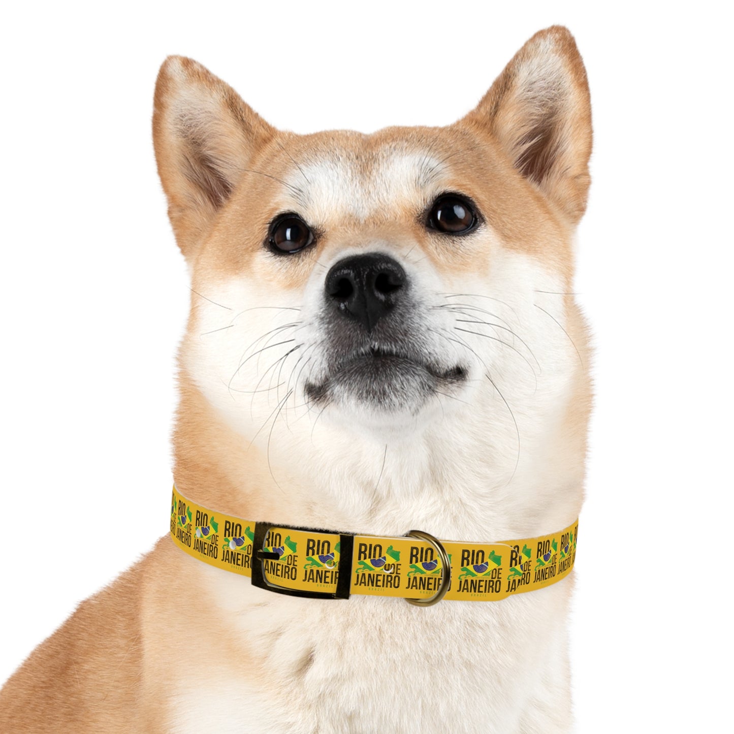 Brazil Flag Dog Collar