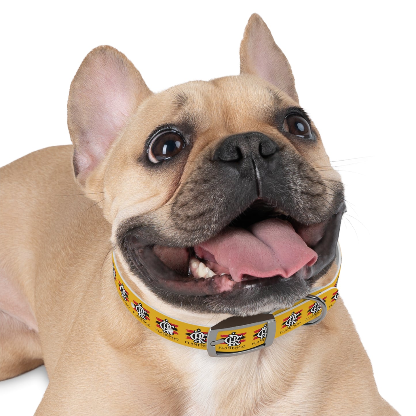 Brazilian Soccer Dog Collar