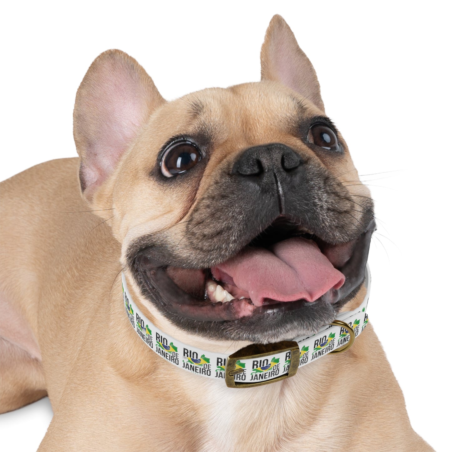 Brazil Flag Dog Collar