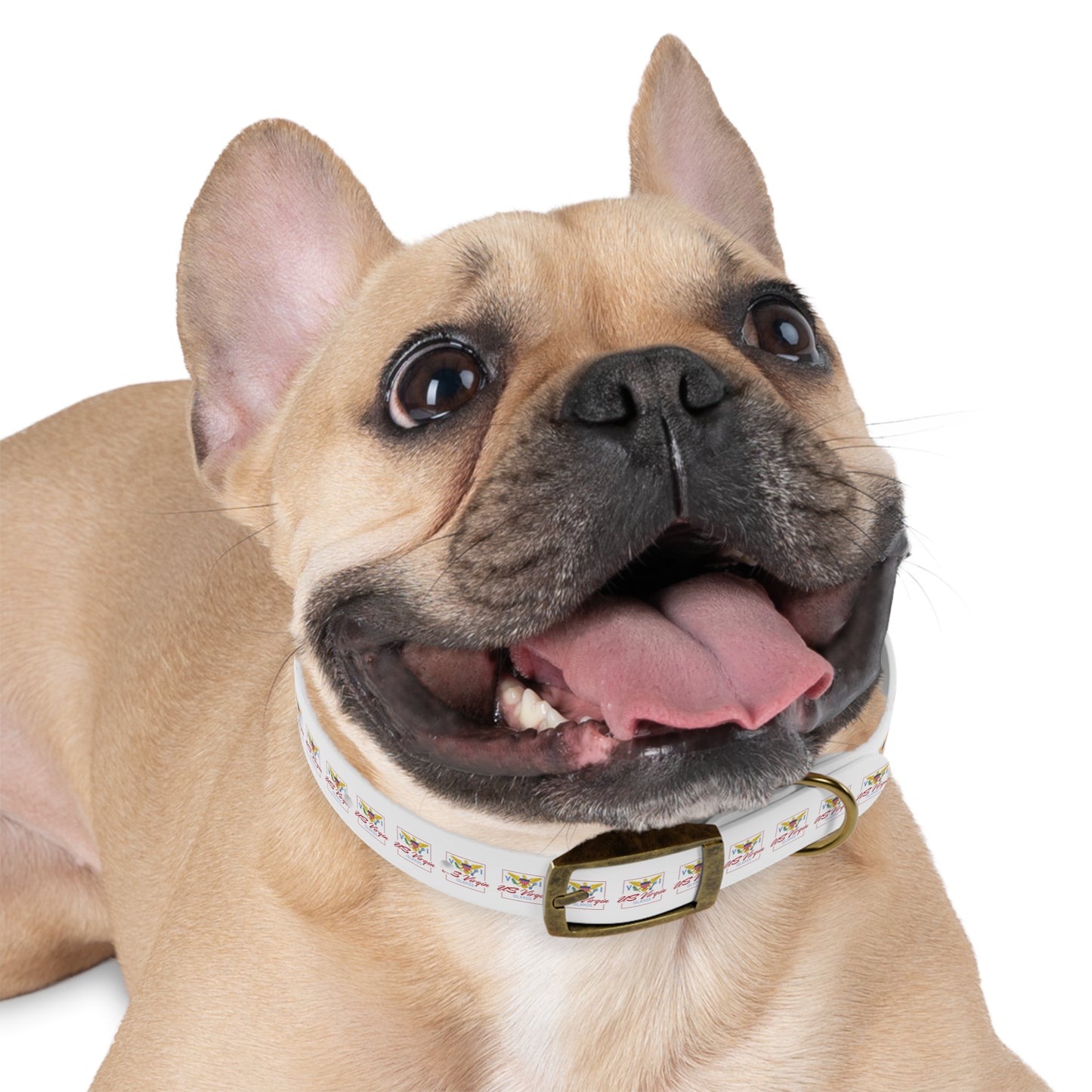 US Virgin Islands Dog Collar